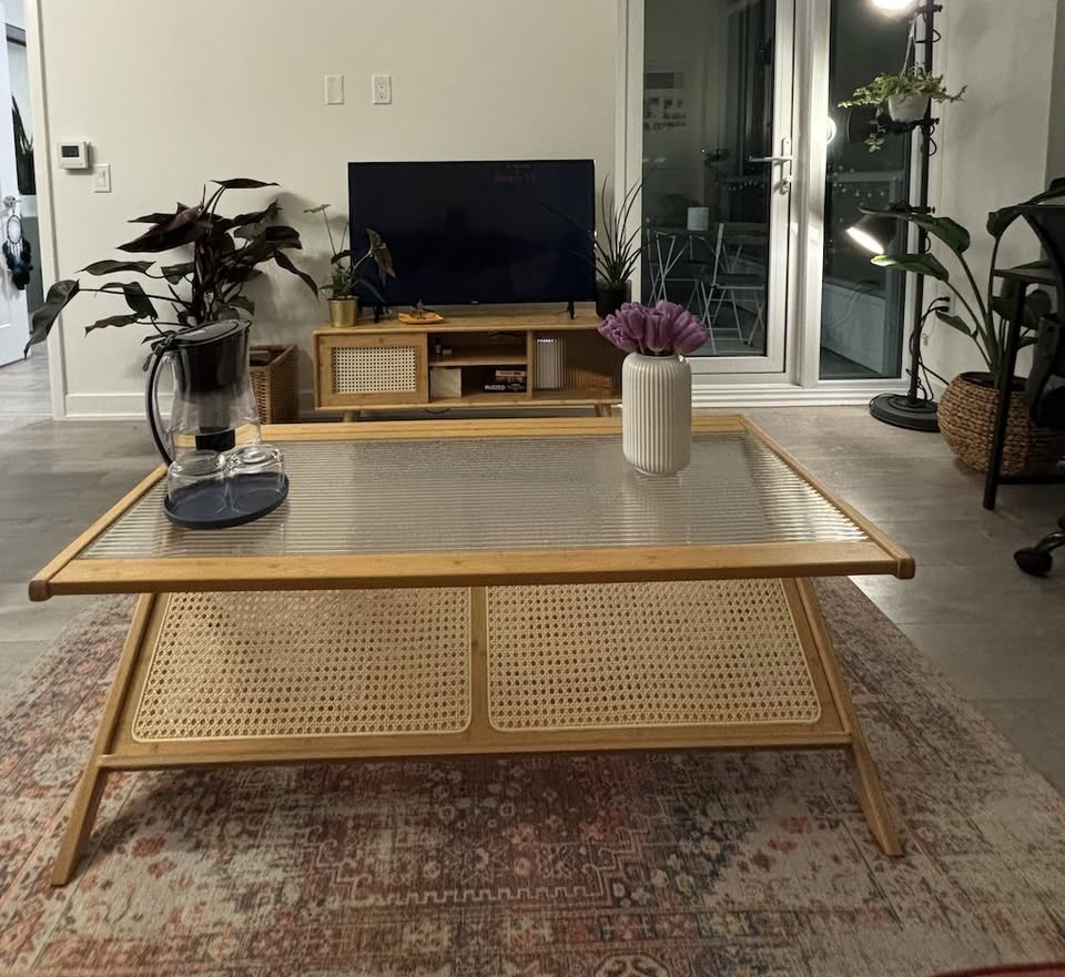 TV Stand - Bamboo w/Rattan & Tempered Glass Sliding Doors - photo 2