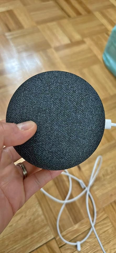Google mini gen 1