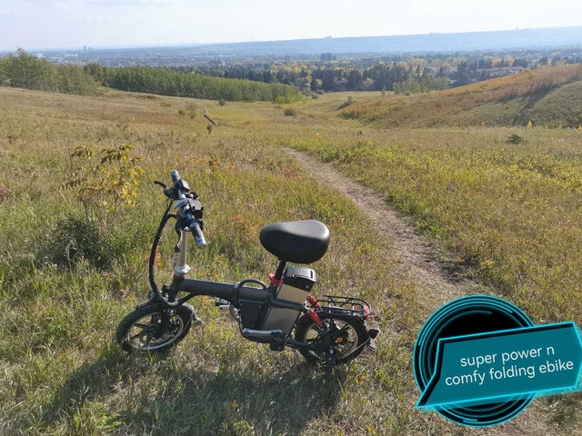 Magicycle Deer mini folding ebike, robust - photo 5