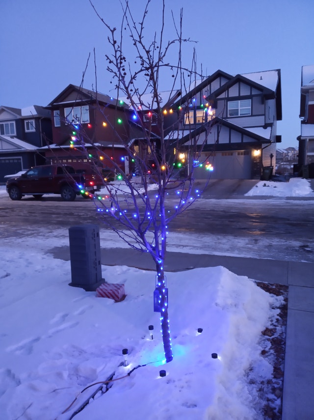 25' LED Starry Lights, Multicoloured (76 LEDs)