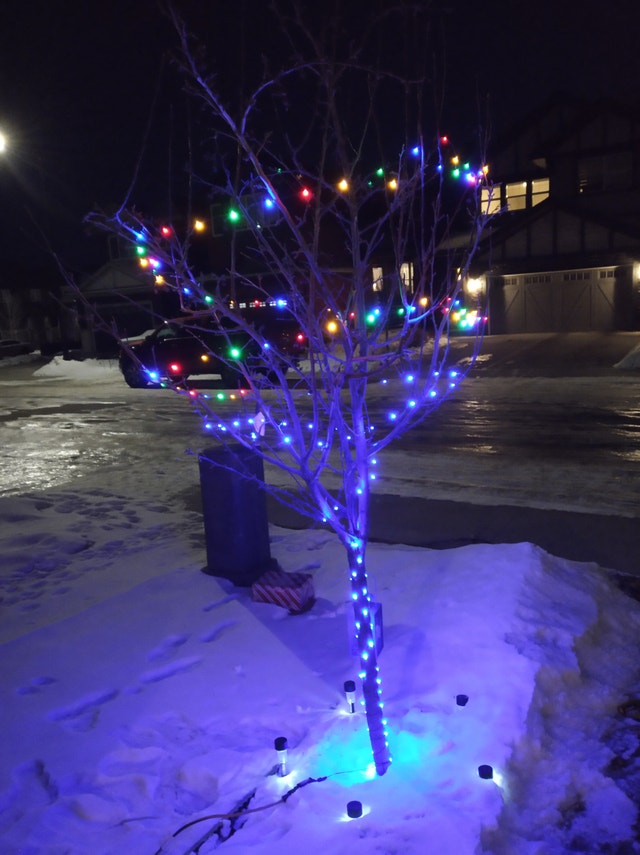 25' LED Starry Lights, Multicoloured (76 LEDs) - photo 2