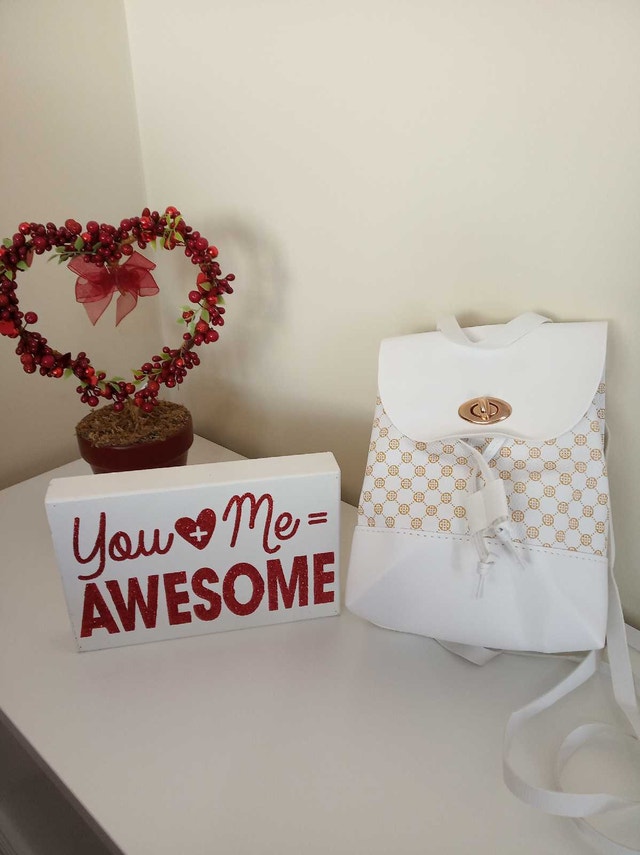 Brand new Travel Backpack for women cute purse and shoulder bag