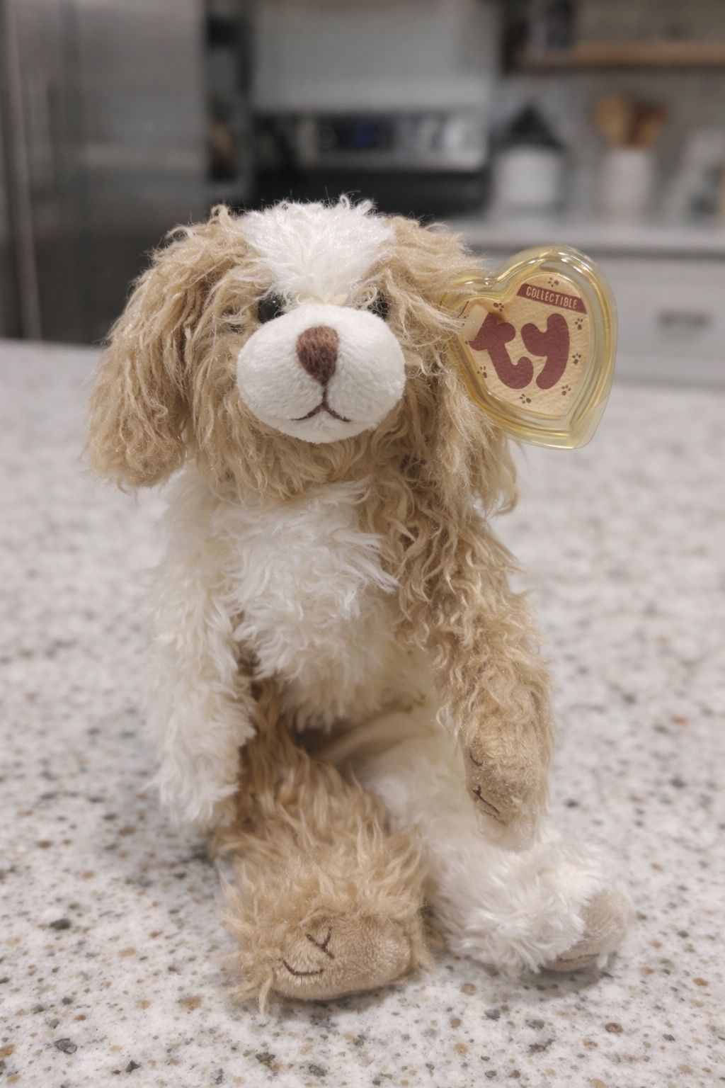 TY Collectible Plush – Soft scruffy/ – 8” – Tag Attached