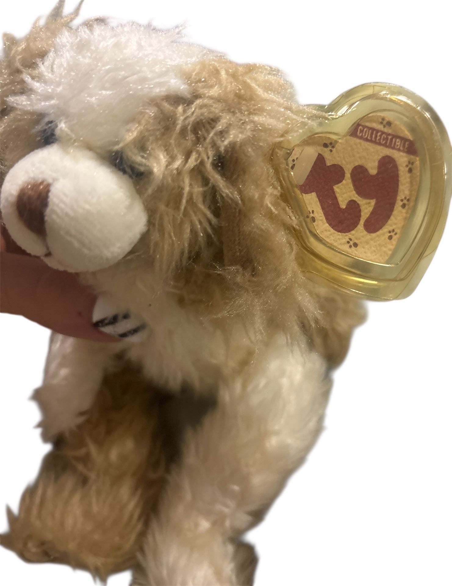 TY Collectible Plush – Soft scruffy/ – 8” – Tag Attached - photo 5