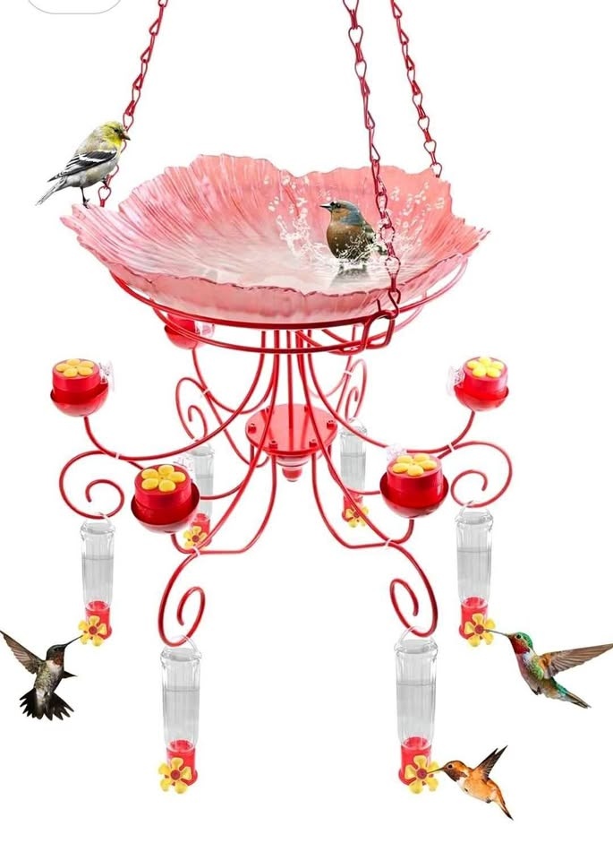 Hummingbird Feeder with Bath (Brand New)