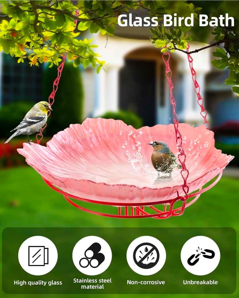 Hummingbird Feeder with Bath (Brand New) - photo 3