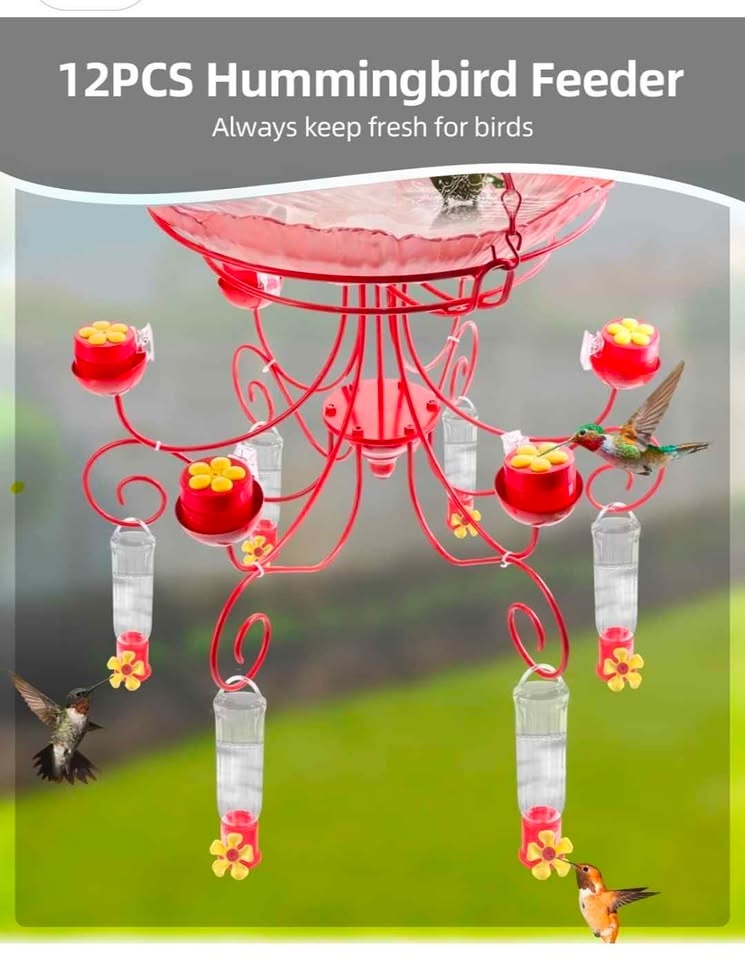 Hummingbird Feeder with Bath (Brand New) - photo 4