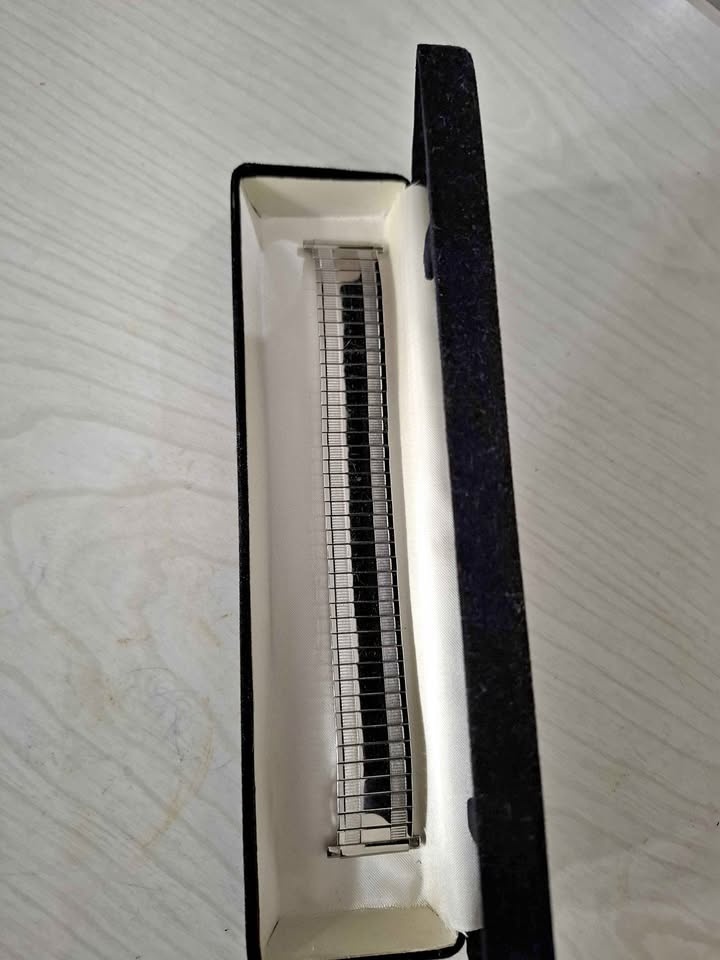 Watch wristband
