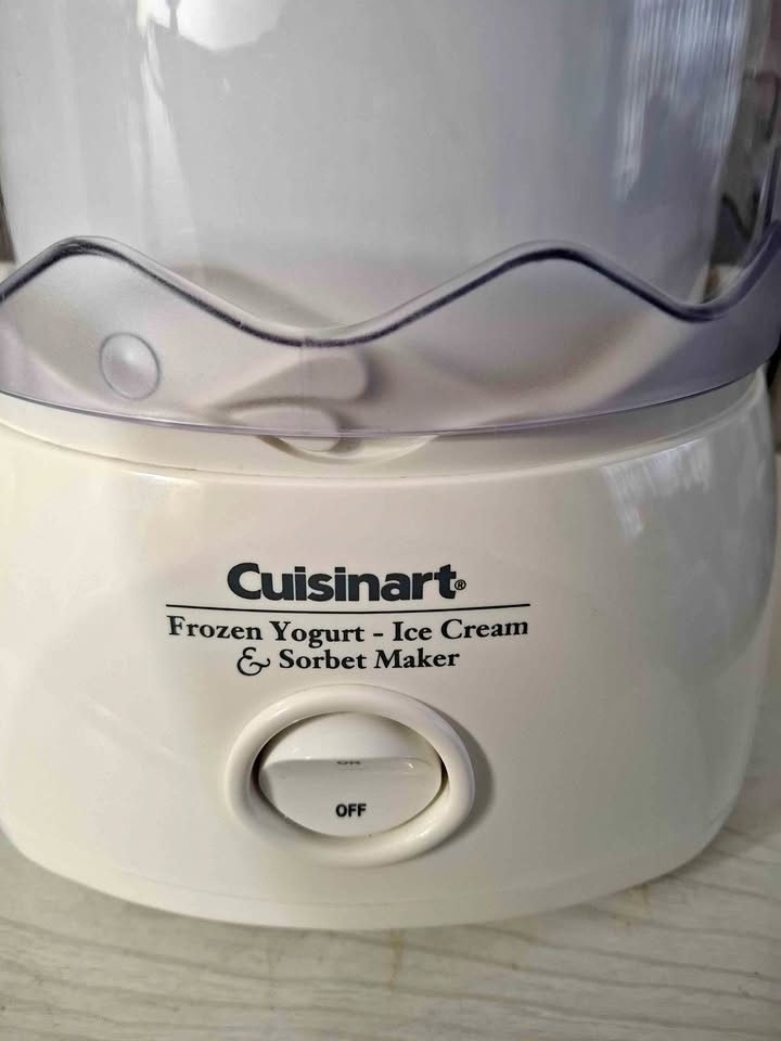 ICE CREAM & FROZEN YOGURT & SORBET MAKER