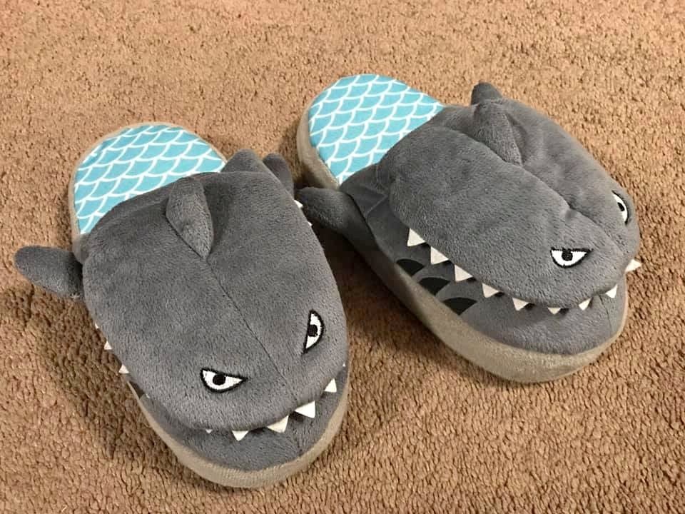 Shark slippers