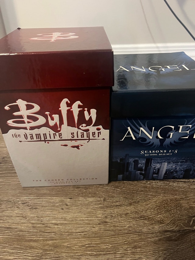 Buffy the Vampire Slayer and Angel TV series