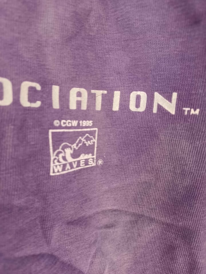Rare vintage 1995 Raptors XXL Shirt - photo 3