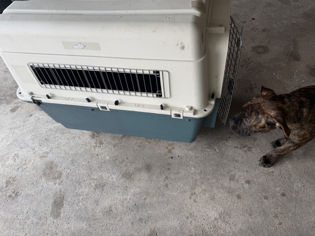 XL PET TRAVEL CRATE - photo 2