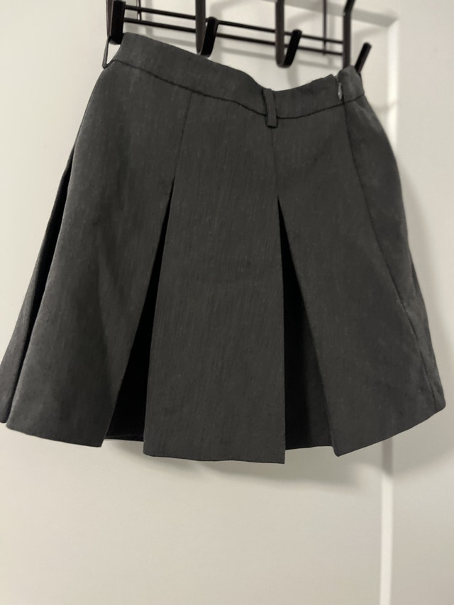 Groupon Skirt
