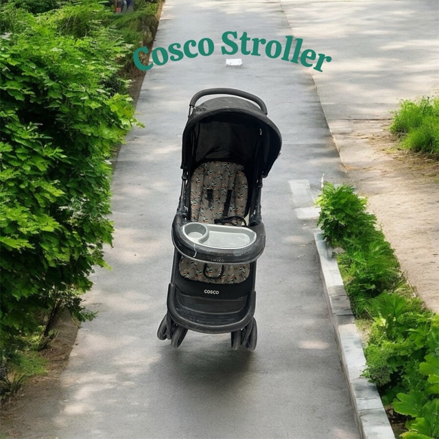 Cosco Stroller - photo 3