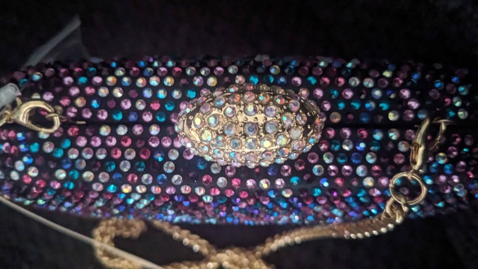 Badgley Mischka JEWEL Evening Handbag NEW! - photo 2