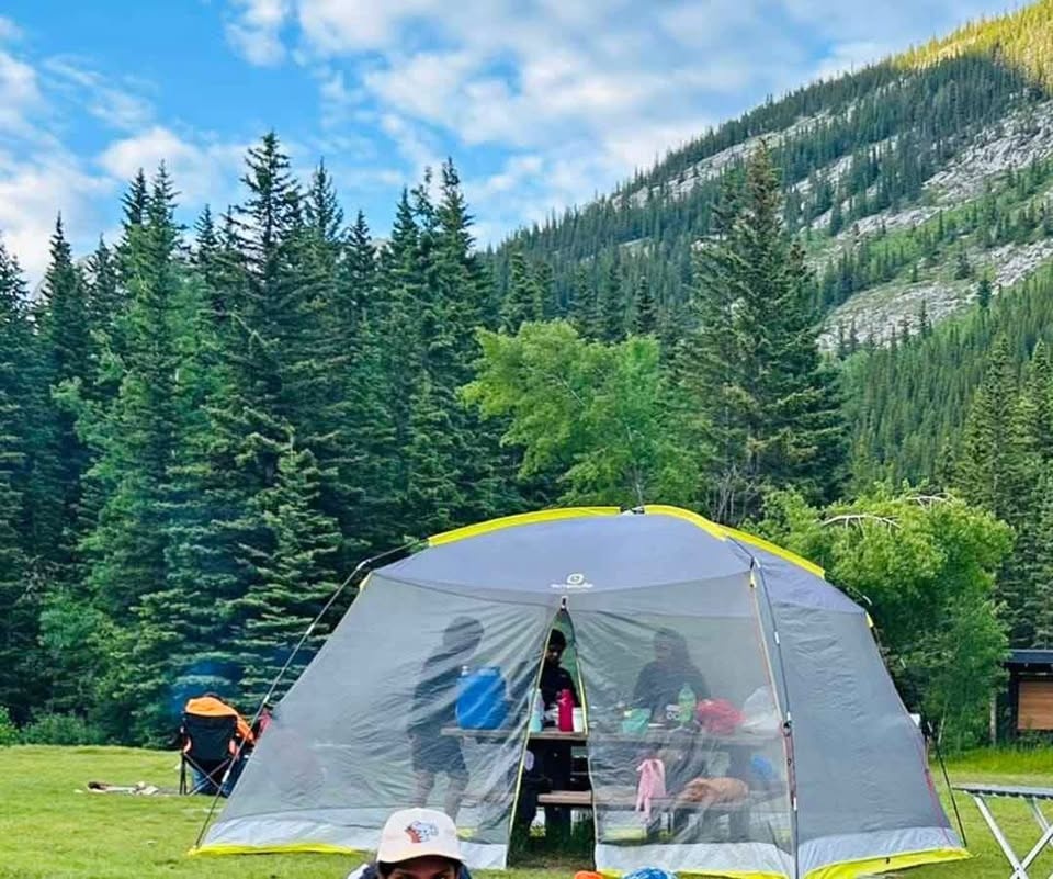 Mesh / Screened Canopy / Tent