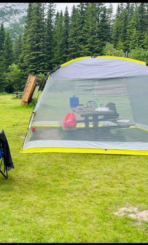 Mesh / Screened Canopy / Tent - photo 2