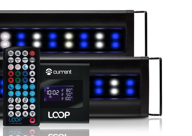 72” Current USA Orbit Marine PRO LED light