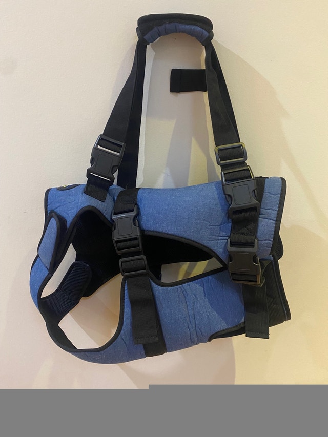 Coodeo Dog Lift Harness - photo 4