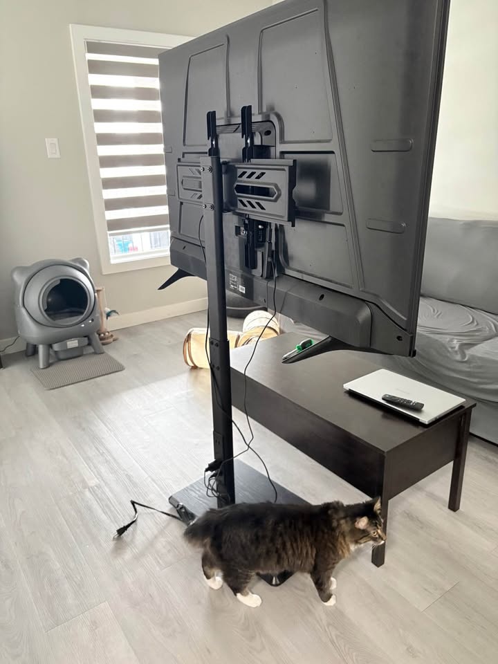 Black TV Stand with Power Outlet