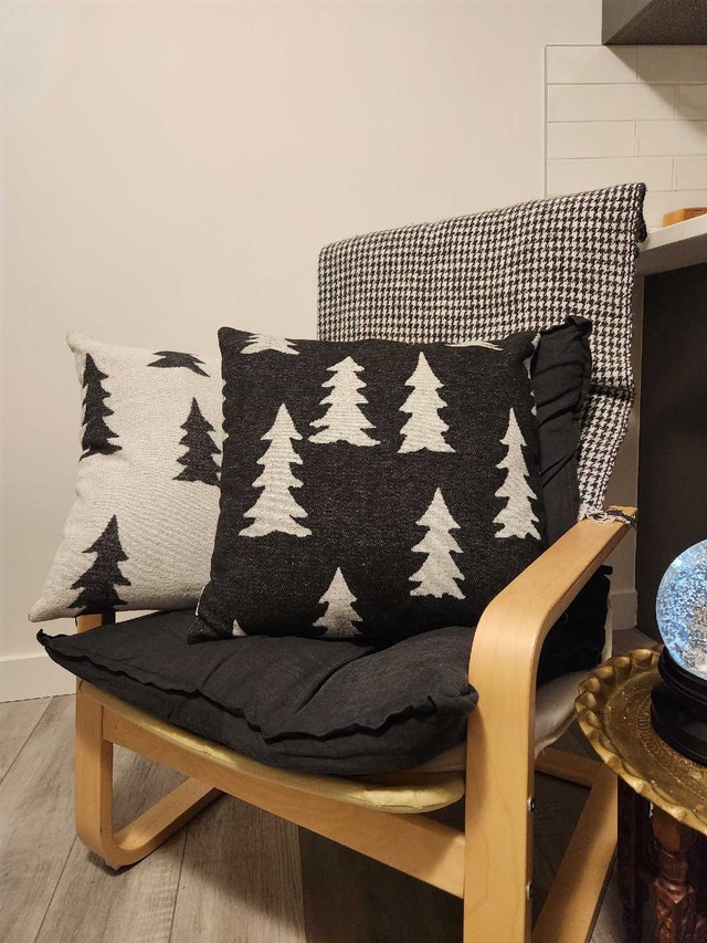 URBAN BARN Throw Pillows