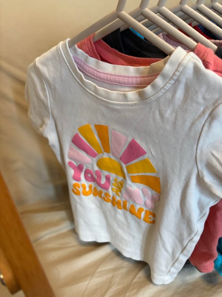 Mixed Brands 18-24M / 2T baby/toddler Tops Bundle (12 pcs) - photo 4