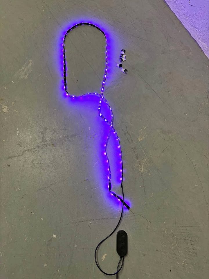 Govee RGB LED Light Strip with Controller