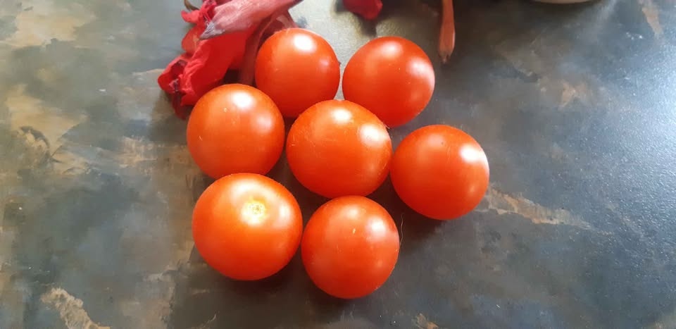 25 Mohamed Micro- dwarf tomato seeds - photo 2