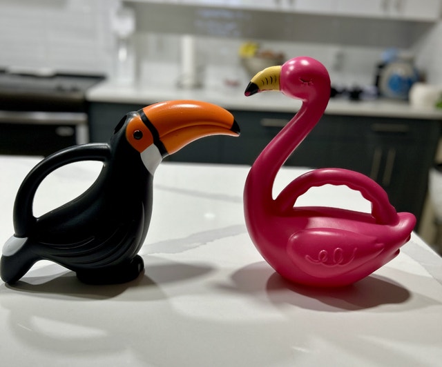 Quirky Toucan and Flamingo Watering Can