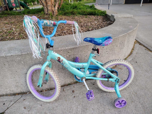 Frozen Bike