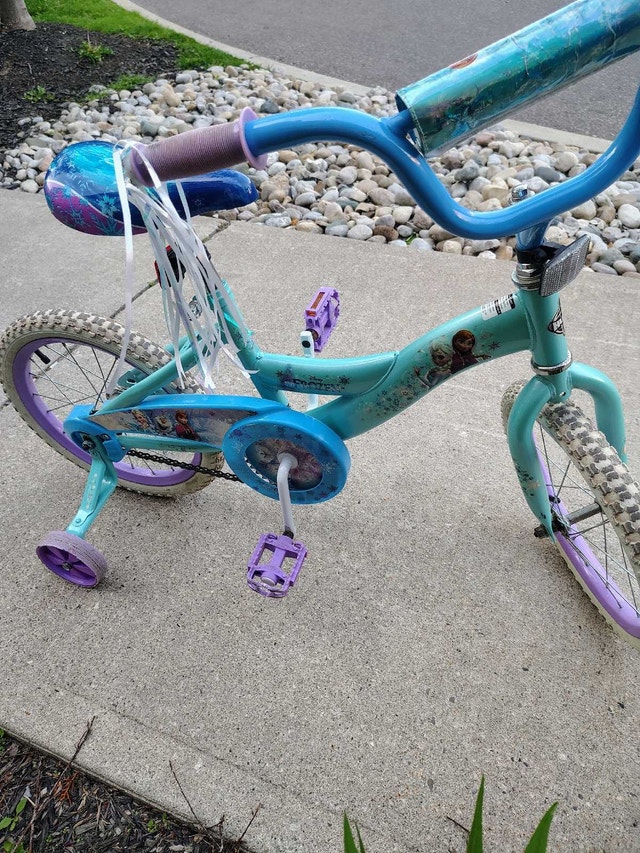 Frozen Bike - photo 2