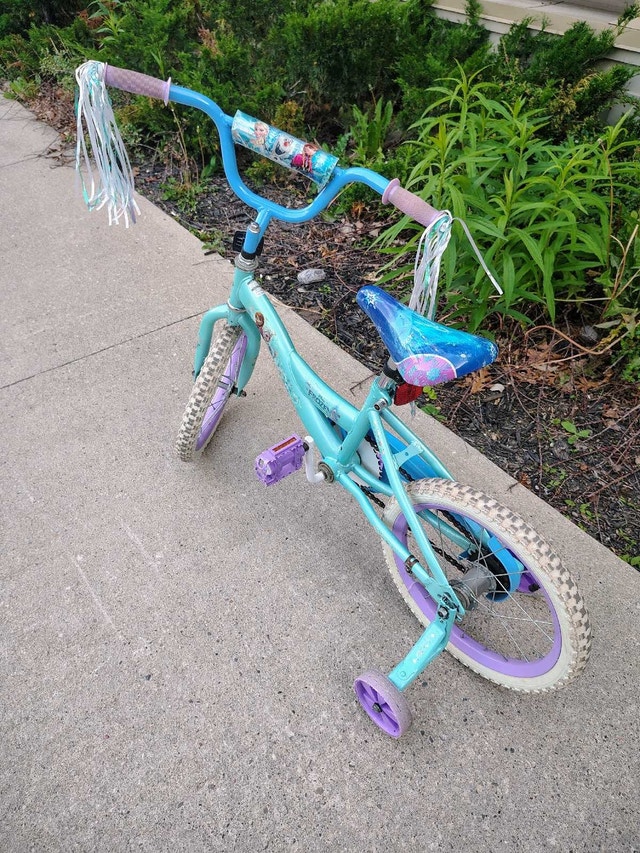 Frozen Bike - photo 3