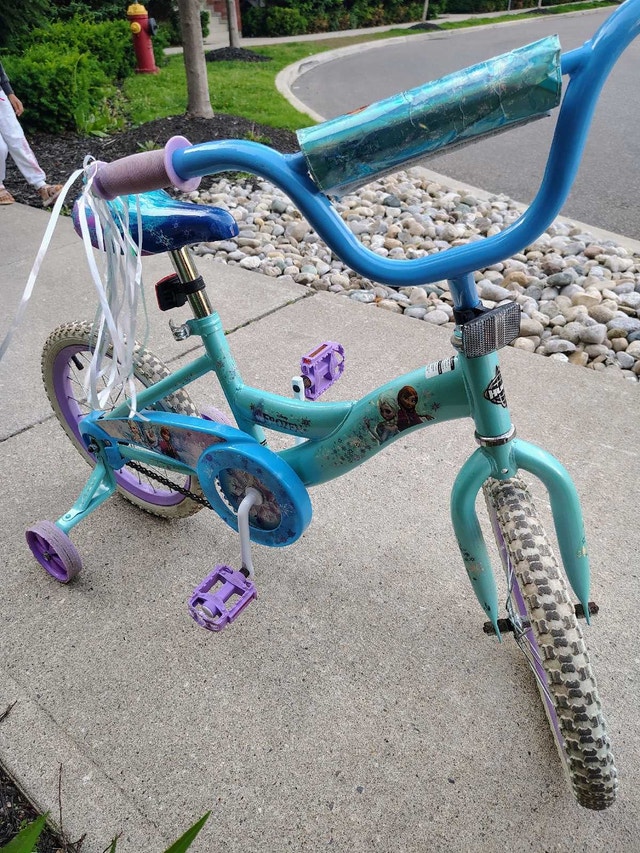 Frozen Bike - photo 4