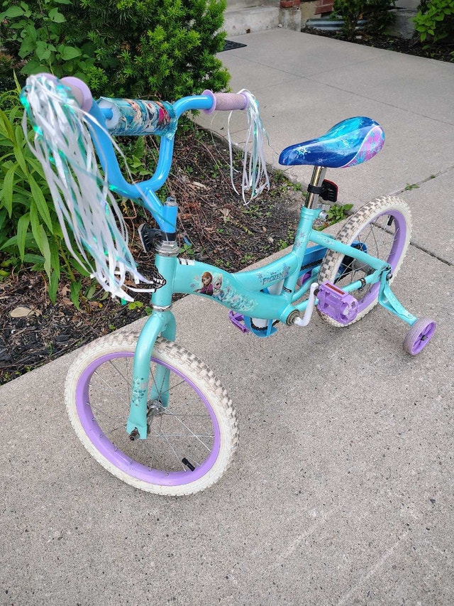 Frozen Bike - photo 5