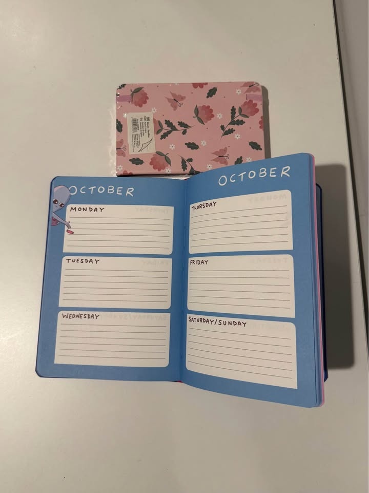 Strange Planet Year Planner + Free Notebook - photo 3