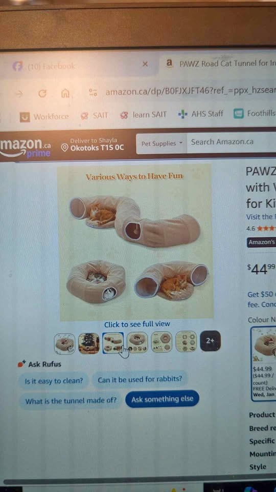 Cat Tunnel Bed