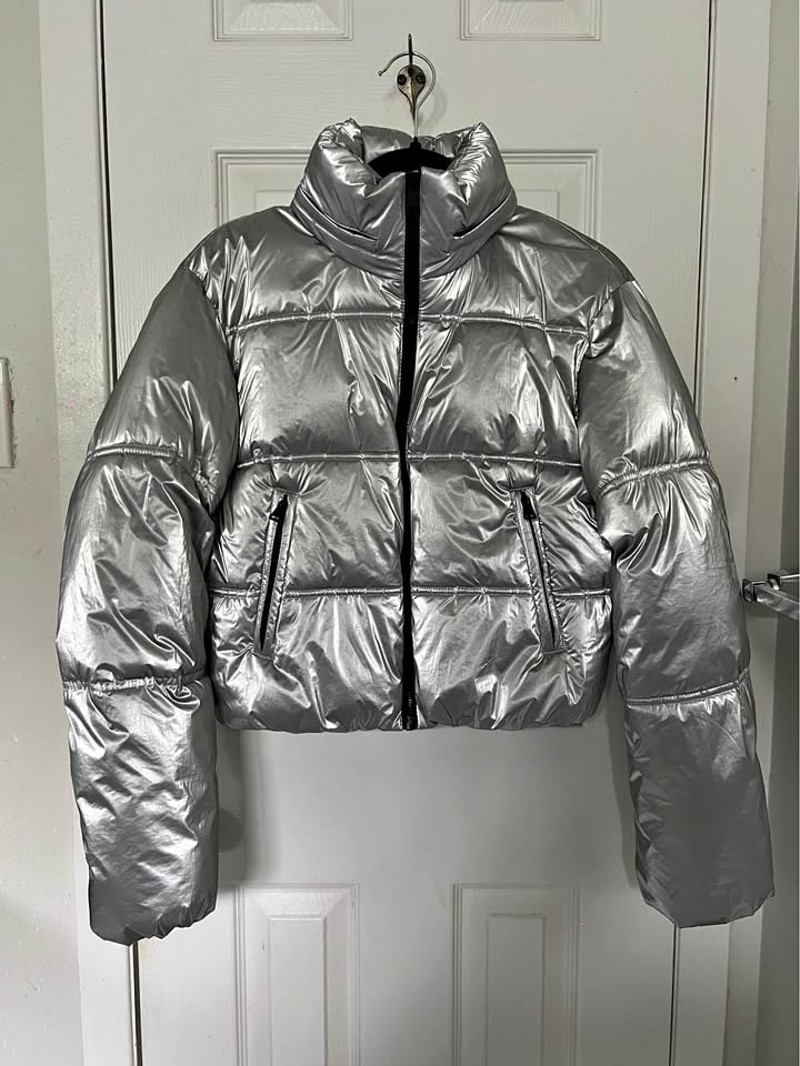 Zara Metallic Puffer