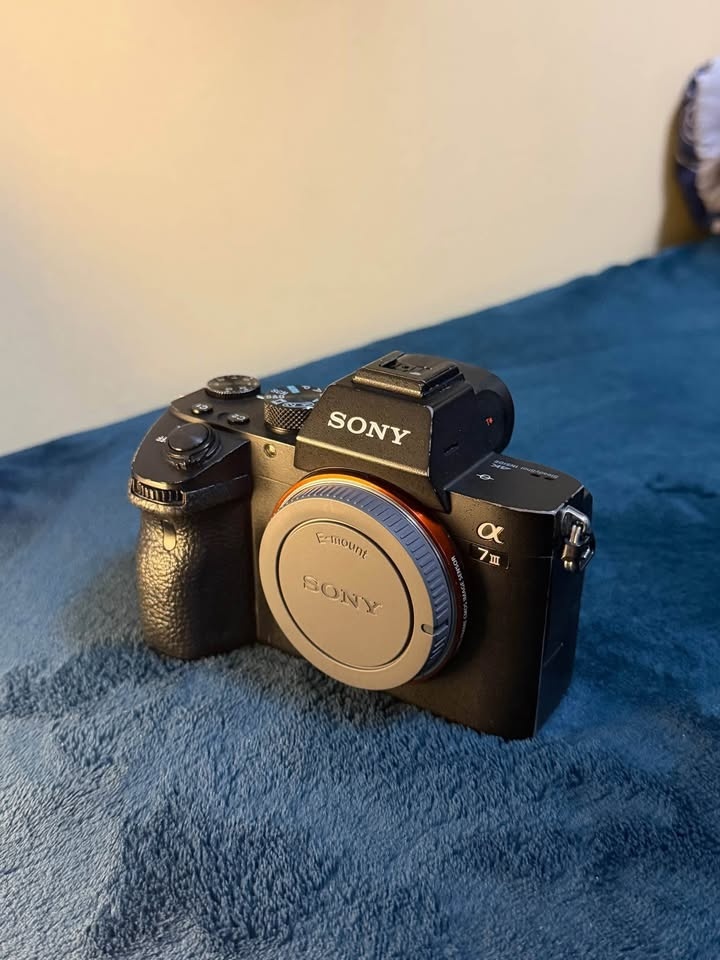 Sony alpha 7iii - photo 3