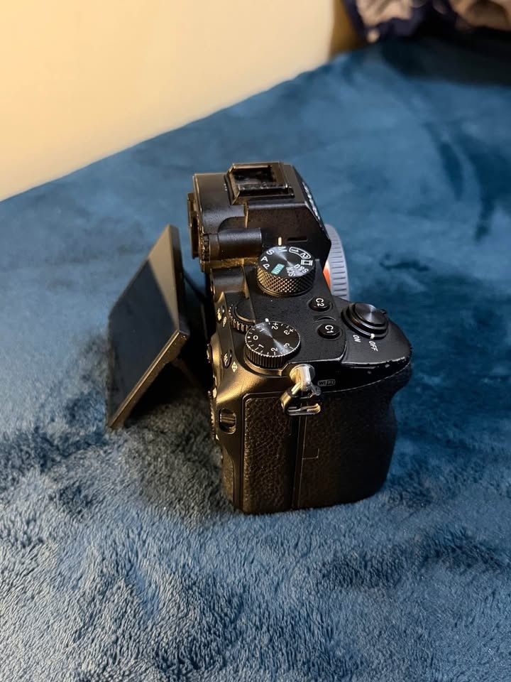 Sony alpha 7iii - photo 4