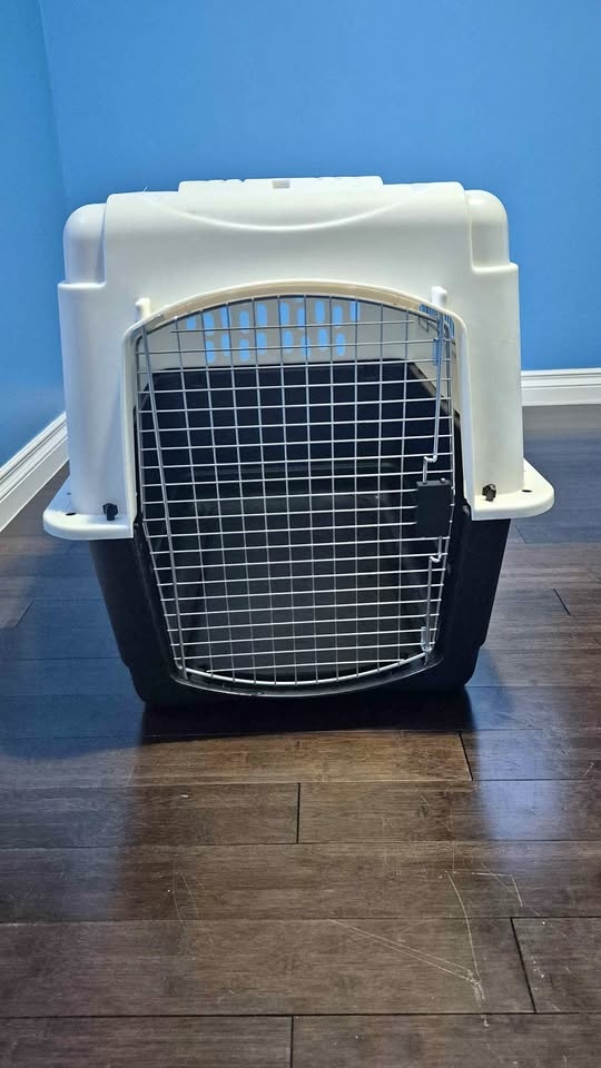 Dog kennel