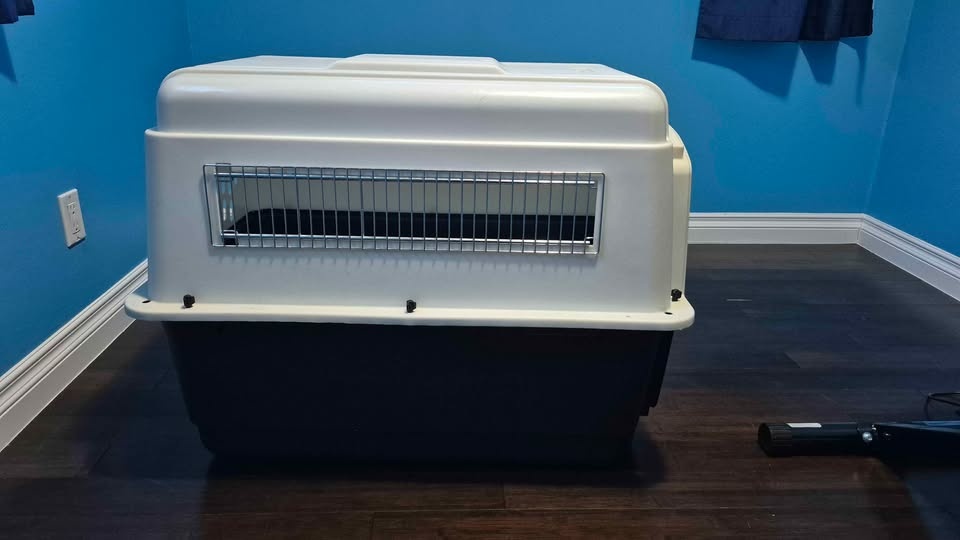 Dog kennel - photo 4