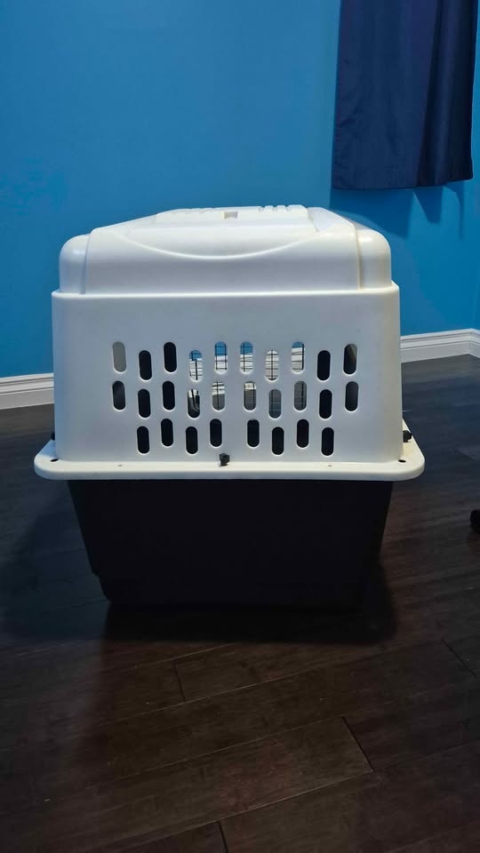 Dog kennel - photo 5