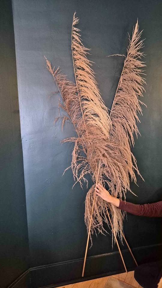 Feather decor