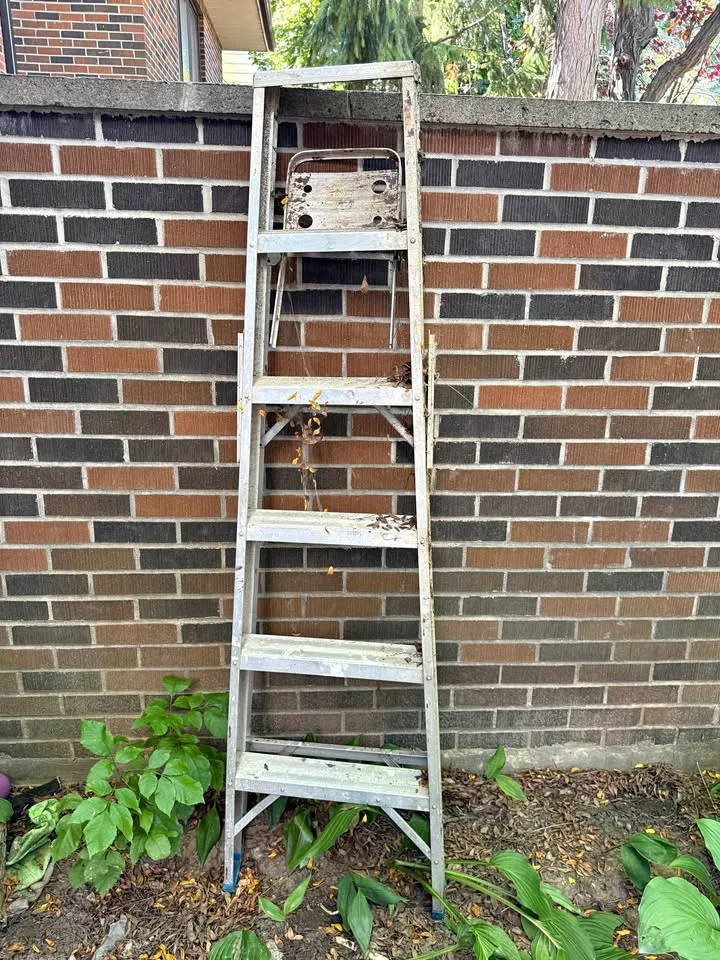 180cm Ladder thumbnail