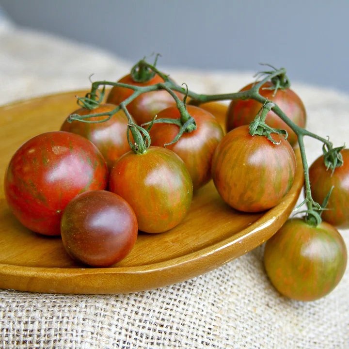 Tomato Heirloom Variety Seeds@Mississauga
