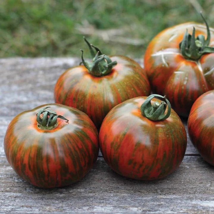 Tomato Heirloom Variety Seeds@Mississauga - photo 2