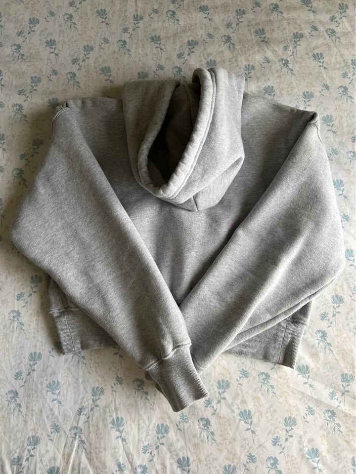Aritzia Tna Boyfriend Boxy Zip Hoodie - photo 5