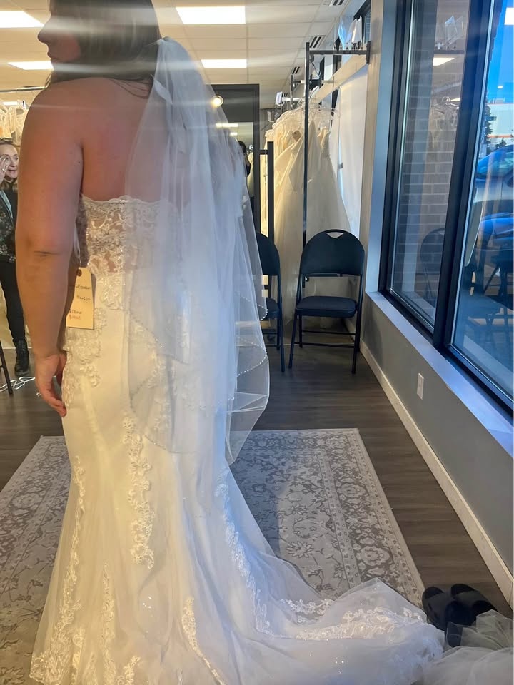 Maggie Sottero glittery fit & flare dress