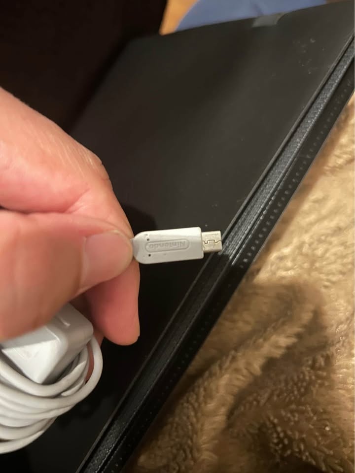 Nintendo DS Lite Charger - photo 4
